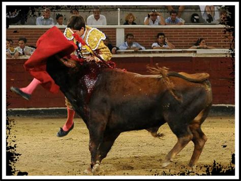 Vamos A Los Toros San Sebasti N De Los Reyes Espa A Novillos De