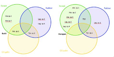 Invertebrates And Vertebrates Venn Diagram