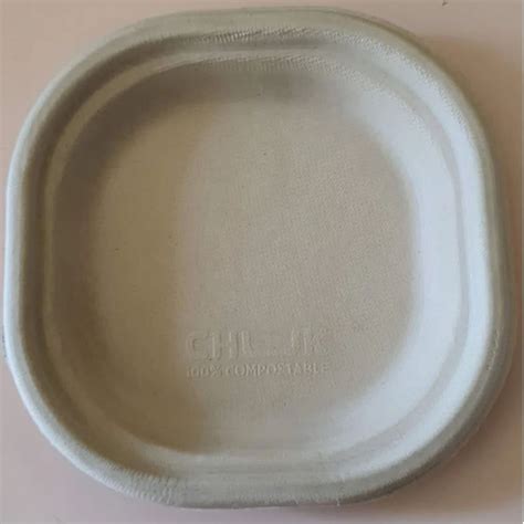 6 Inch Bagasse Biodegradable Plate At Rs 2 5 Piece Biodegradable