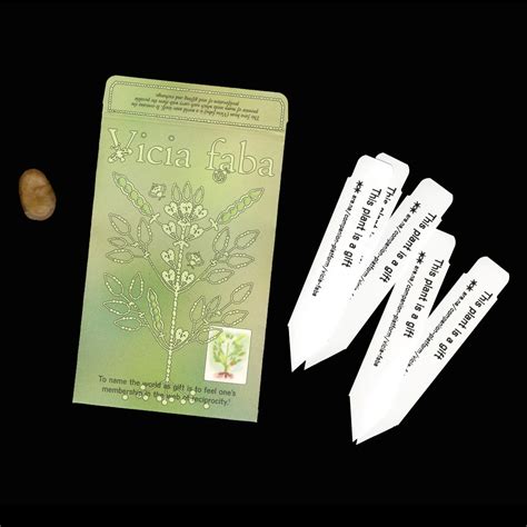 Vicia Faba - Seed Packet (Single Fava Bean) — Are.na Gift Shop