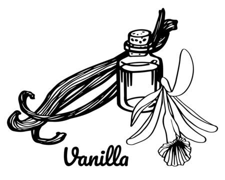 Vanilla Extract Clipart