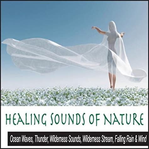 Couter Healing Sounds Of Nature Ocean Waves Thunder Wilderness