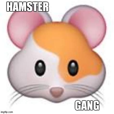 Hamster Gang Imgflip