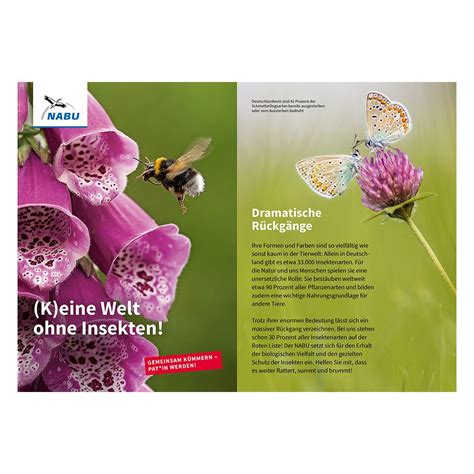 Faltblatt "(K)eine Welt ohne Insekten!" - Insekten-Patenschaft | NABU-Shop