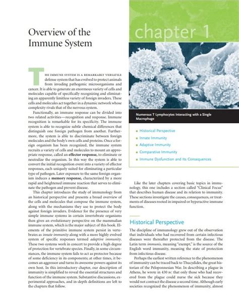 [PDF] Kuby Immunology 6th Edition, Hobbies & Toys, Books & Magazines ...