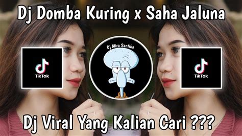 DJ DOMBA KURING X SAHA JALUNA VIRAL TIK TOK TERBARU 2023 YANG KALIAN