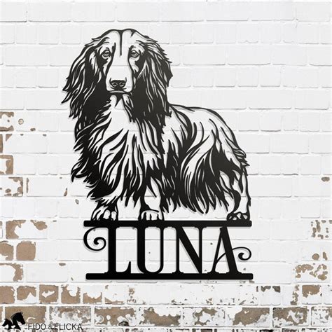 Longhaired Dachshund Etsy