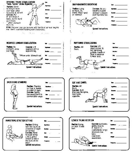 21 best images about Low Back Pain Exercises Patient Handout on ...