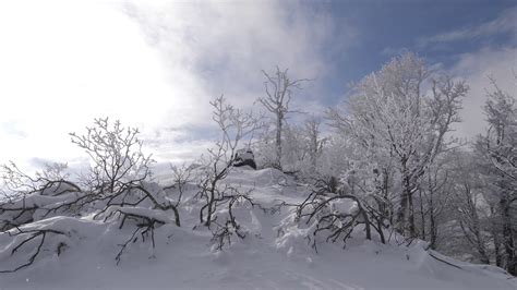 The Winter Of Winds Sionyjanosch