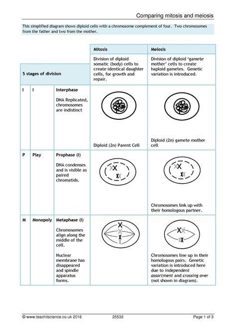 Mitosis And Meiosisks4 Biologyteachit