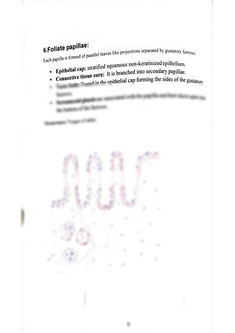 SOLUTION: Histology of foliate papillae - Studypool