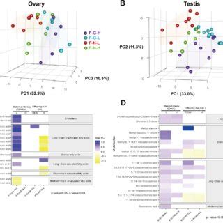 Principal Component Analysis PCA And Lipidomic Profiles Of Ovaries