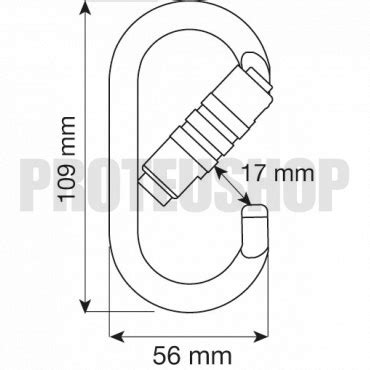 Mousqueton CAMP OVAL PRO 2LOCK