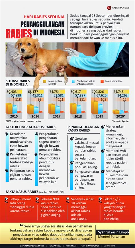 Penanggulangan Rabies Di Indonesia Infografik Antara News