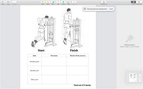 [solved] Muscles Prime Movers Shoulder Girdle Shoulder Joint Elbow Joint Course Hero