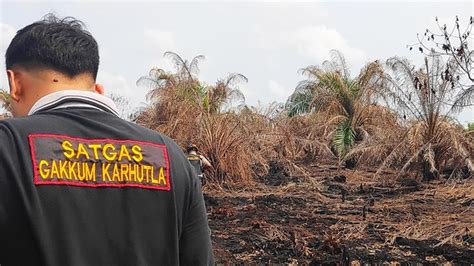 Musim Kemarau Kian Dekat Kalsel Siaga Bencana Asap Akibat Karhutla