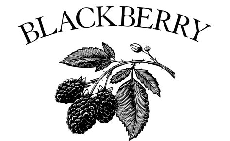 Blackberry Brands - corporate/