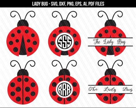 Ladybug Svg Lady Bug Monogram Svg Ladybug Beetle Svg Etsy