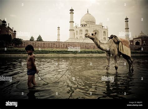 Man And His Camel Hi Res Stock Photography And Images Alamy