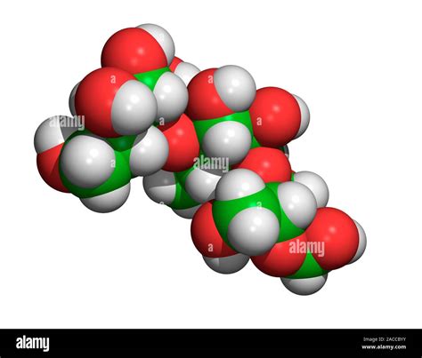 Amylose Computer Generated Molecular Model Of Amylose Amylose Is