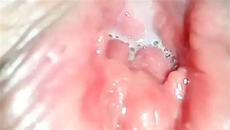 Free Creampie Pussy Porn Videos XHamster