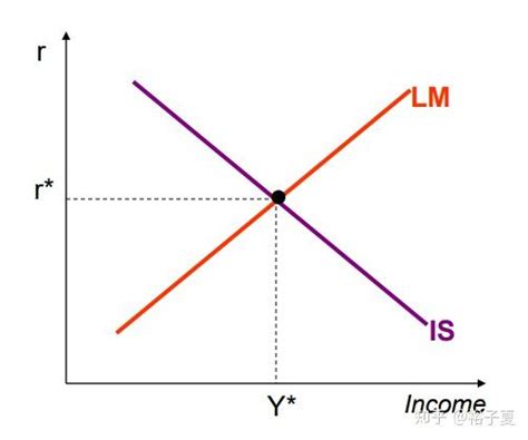 关于is Lm模型及挤出效应的简介 知乎