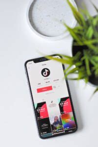 Tiktok Namen Vorschl Ge Kreative Ideen F R Ihren Account