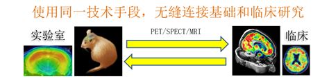 复旦大学药学院季斌课题组