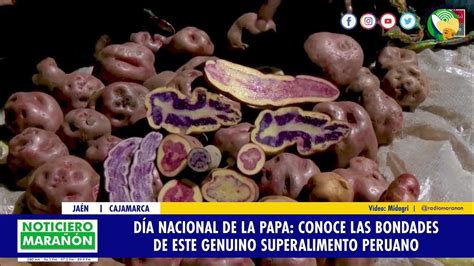 Día Nacional De La Papa Conoce Las Bondades De Este Genuino Superalimento Peruano Youtube