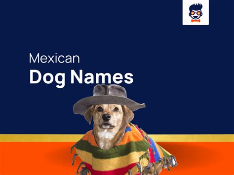 1230+ Mexican Dog Names That Bring Spirit of Mexico to Life! (+Generator)