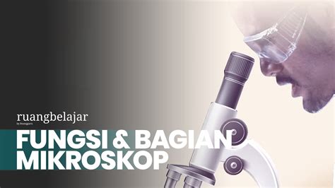 Bagian Bagian Mikroskop Dan Cara Menggunakannya Ipa Biologi | The Best ...