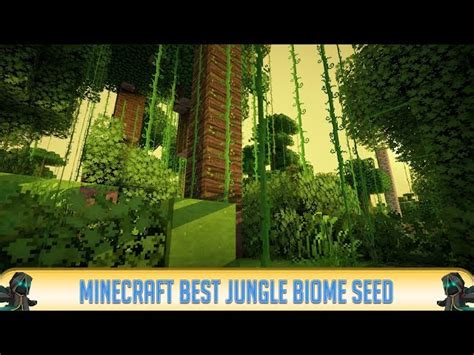 How To Find A Minecraft Jungle Biome