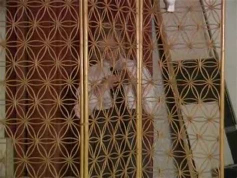 Undressing Vintage Vintage Porn XHamster