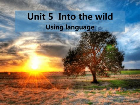 外研版（2019）必修 第一册unit 5 Into The Wild Using Language课件共41张ppt 21世纪教育网