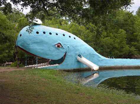 Blue Whale Of Catoosa 2020 Ce Quil Faut Savoir Pour Votre Visite