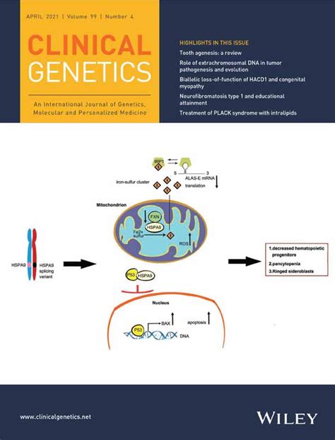 Predictive Pre‐natal And Diagnostic Genetic Testing For Huntington S Disease The Experience In