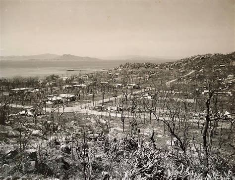 Cyclone Althea 1971