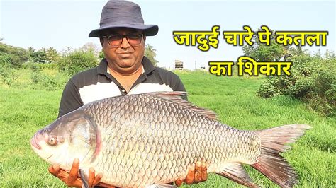 कतला निकालने की पुरी Technique सिखेंbig Katla Catch Catla Fishing