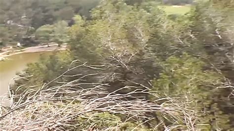 Free French Pee Porn Videos Xhamster