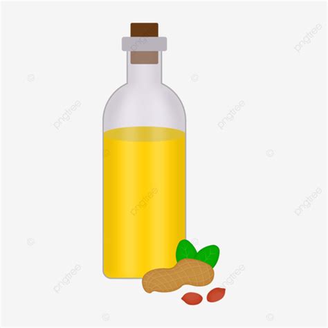 Peanut Oil With Vector Illustration Peanut Dried Fruit Peanut Oil