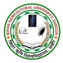 Bihar Agricultural University Recruitment Apply Online For