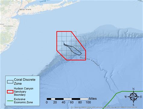 Proposed Designation of Hudson Canyon National Marine Sanctuary — Mid