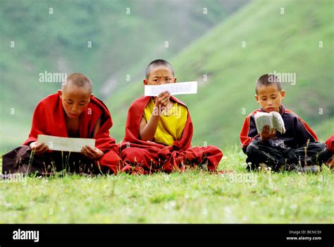 Boy Lamas Reading Traditional Tibetan Scripture In Buddhism Institute