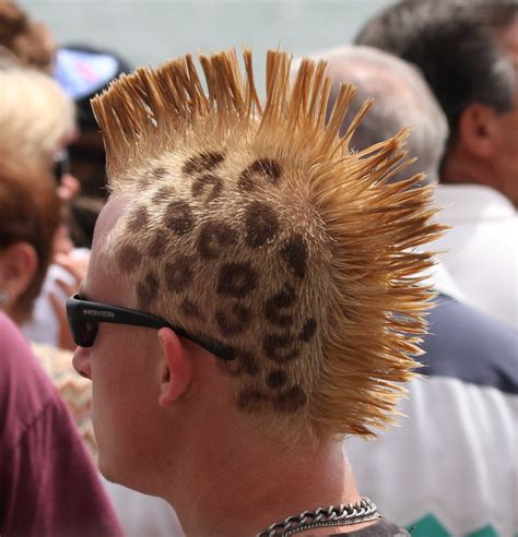 Leopard Mohawk Wild Man Nathan Rupert Flickr