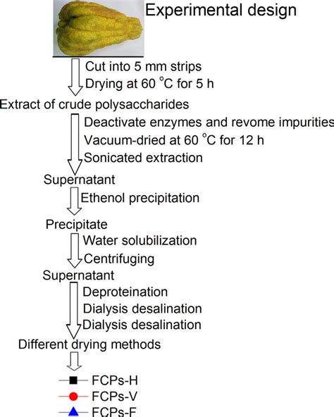 Scheme Of Extraction And Fractionation Of Polysaccharides From Finger Download Scientific