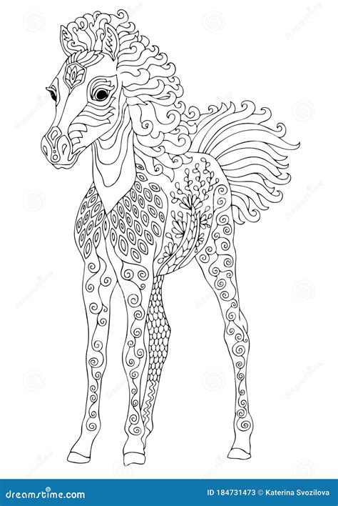 Cute Foal, Adult Coloring Page Cartoon Vector | CartoonDealer.com #184731473