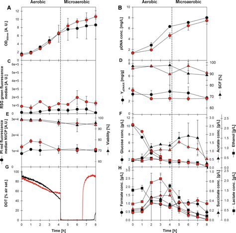 Growth Profiles Of Biphasic Of E Coli Strains W3110 Reca⁻ Black