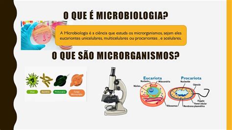 AULA 01 MICROBIOLOGIA E PARASITOLOGIA YouTube