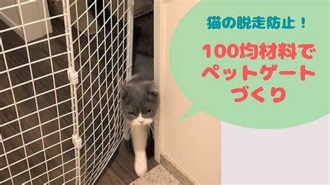 100均手作りペットゲートで猫の脱走防止！ダイソー材料で玄関柵の作り方 にゃんこ2匹と一人暮らし