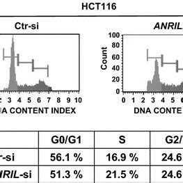 Silencing Anril Causes Cell Cycle Arrest At S Phase In Hct Cells In